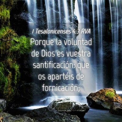 Picture 04 - 1 Tesalonicenses 4:3 RVA - Porque la voluntad de Dios es vuestra - Bible Verse Picture