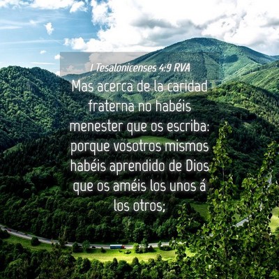 Picture 04 - 1 Tesalonicenses 4:9 RVA - Mas acerca de la caridad fraterna no habéis - Bible Verse Picture