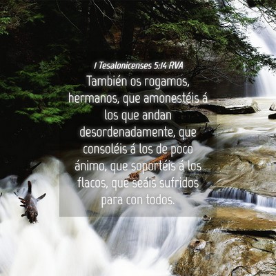Picture 04 - 1 Tesalonicenses 5:14 RVA - También os rogamos, hermanos, que amonestéis á - Bible Verse Picture