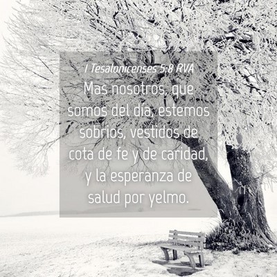 Picture 04 - 1 Tesalonicenses 5:8 RVA - Mas nosotros, que somos del día, estemos - Bible Verse Picture