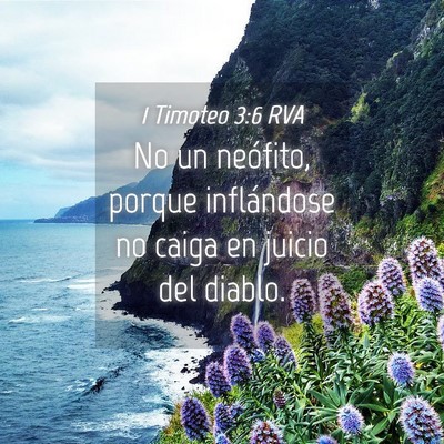 Picture 04 - 1 Timoteo 3:6 RVA - No un neófito, porque inflándose no caiga en - Bible Verse Picture