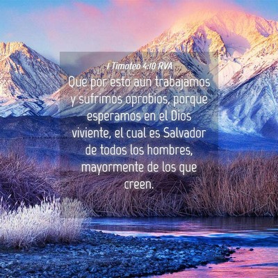 Picture 04 - 1 Timoteo 4:10 RVA - Que por esto aun trabajamos y sufrimos oprobios, - Bible Verse Picture