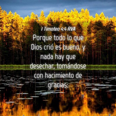 Picture 04 - 1 Timoteo 4:4 RVA - Porque todo lo que Dios crió es bueno, y nada - Bible Verse Picture