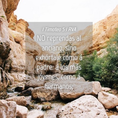 Picture 04 - 1 Timoteo 5:1 RVA - NO reprendas al anciano, sino exhórtale como á - Bible Verse Picture