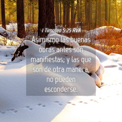 Picture 04 - 1 Timoteo 5:25 RVA - Asimismo las buenas obras antes son manifiestas; - Bible Verse Picture