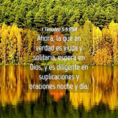 Picture 04 - 1 Timoteo 5:5 RVA - Ahora, la que en verdad es viuda y solitaria, - Bible Verse Picture