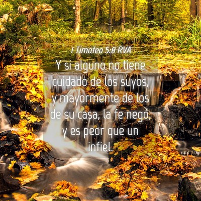 Picture 04 - 1 Timoteo 5:8 RVA - Y si alguno no tiene cuidado de los suyos, y - Bible Verse Picture