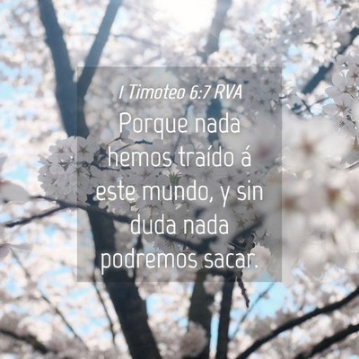 Picture 04 - 1 Timoteo 6:7 RVA - Porque nada hemos traído á este mundo, y sin - Bible Verse Picture