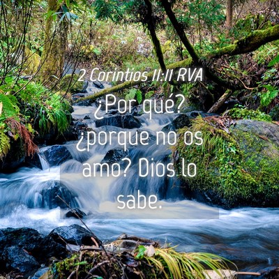 Picture 04 - 2 Corintios 11:11 RVA - ¿Por qué? ¿porque no os amo? Dios lo - Bible Verse Picture