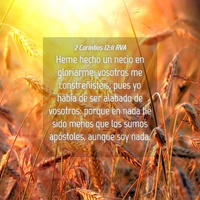 Picture 04 - 2 Corintios 12:11 RVA - Heme hecho un necio en gloriarme: vosotros me - Bible Verse Picture