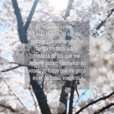 Picture 04 - 2 Corintios 2:3 RVA - Y esto mismo os escribí, porque cuando llegare - Bible Verse Picture