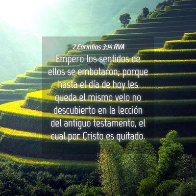 Picture 04 - 2 Corintios 3:14 RVA - Empero los sentidos de ellos se embotaron; porque - Bible Verse Picture