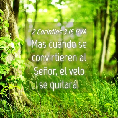 Picture 04 - 2 Corintios 3:16 RVA - Mas cuando se convirtieren al Señor, el velo se - Bible Verse Picture