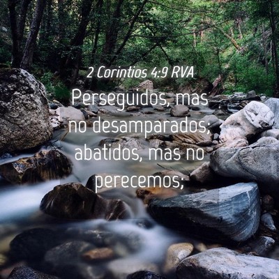 Picture 04 - 2 Corintios 4:9 RVA - Perseguidos, mas no desamparados; abatidos, mas - Bible Verse Picture