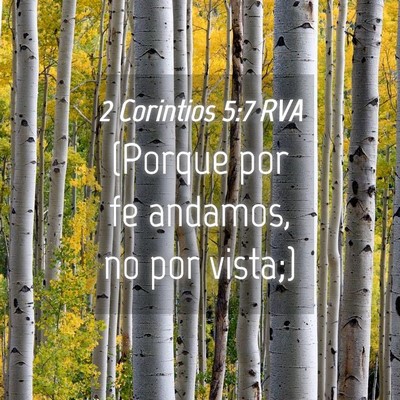 Picture 04 - 2 Corintios 5:7 RVA - (Porque por fe andamos, no por - Bible Verse Picture
