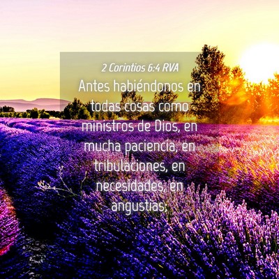 Picture 04 - 2 Corintios 6:4 RVA - Antes habiéndonos en todas cosas como ministros - Bible Verse Picture