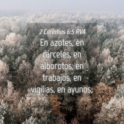 Picture 04 - 2 Corintios 6:5 RVA - En azotes, en cárceles, en alborotos, en - Bible Verse Picture