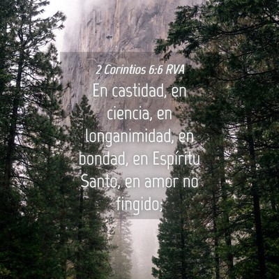 Picture 04 - 2 Corintios 6:6 RVA - En castidad, en ciencia, en longanimidad, en - Bible Verse Picture