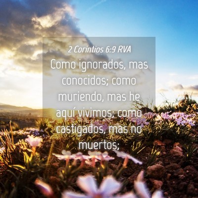 Picture 04 - 2 Corintios 6:9 RVA - Como ignorados, mas conocidos; como muriendo, mas - Bible Verse Picture