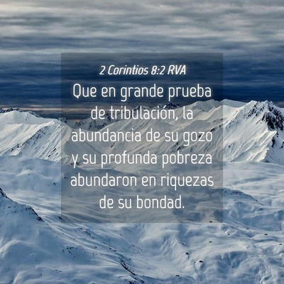 Picture 04 - 2 Corintios 8:2 RVA - Que en grande prueba de tribulación, la - Bible Verse Picture