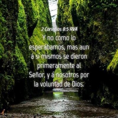 Picture 04 - 2 Corintios 8:5 RVA - Y no como lo esperábamos, mas aun á sí mismos - Bible Verse Picture