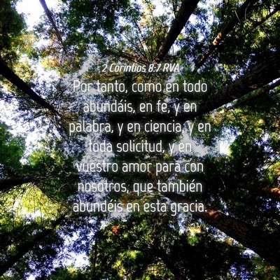 Picture 04 - 2 Corintios 8:7 RVA - Por tanto, como en todo abundáis, en fe, y en - Bible Verse Picture
