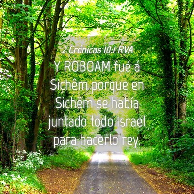 Picture 04 - 2 Crónicas 10:1 RVA - Y ROBOAM fué á Sichêm porque en Sichêm se - Bible Verse Picture