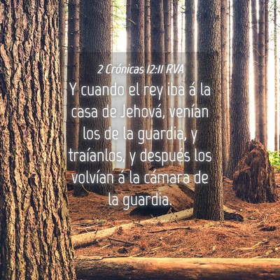 Picture 04 - 2 Crónicas 12:11 RVA - Y cuando el rey iba á la casa de Jehová, - Bible Verse Picture