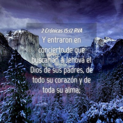 Picture 04 - 2 Crónicas 15:12 RVA - Y entraron en concierto de que buscarían á - Bible Verse Picture