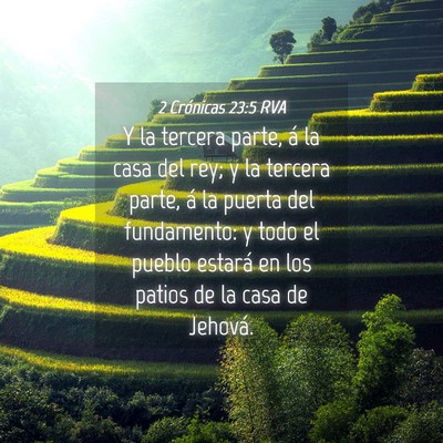 Picture 04 - 2 Crónicas 23:5 RVA - Y la tercera parte, á la casa del rey; y la - Bible Verse Picture