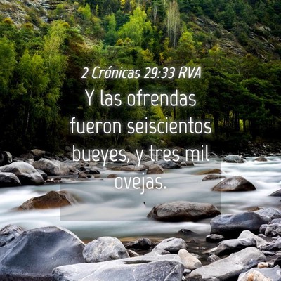 Picture 04 - 2 Crónicas 29:33 RVA - Y las ofrendas fueron seiscientos bueyes, y tres - Bible Verse Picture
