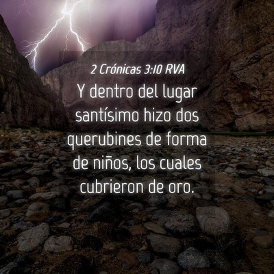 Picture 04 - 2 Crónicas 3:10 RVA - Y dentro del lugar santísimo hizo dos querubines - Bible Verse Picture