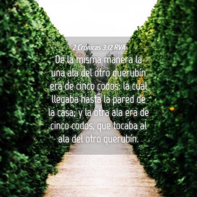 Picture 04 - 2 Crónicas 3:12 RVA - De la misma manera la una ala del otro querubín - Bible Verse Picture