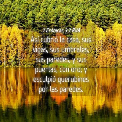 Picture 04 - 2 Crónicas 3:7 RVA - Así cubrió la casa, sus vigas, sus umbrales, - Bible Verse Picture