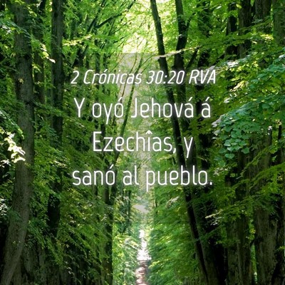 Picture 04 - 2 Crónicas 30:20 RVA - Y oyó Jehová á Ezechîas, y sanó al - Bible Verse Picture