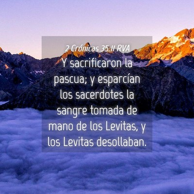 Picture 04 - 2 Crónicas 35:11 RVA - Y sacrificaron la pascua; y esparcían los - Bible Verse Picture