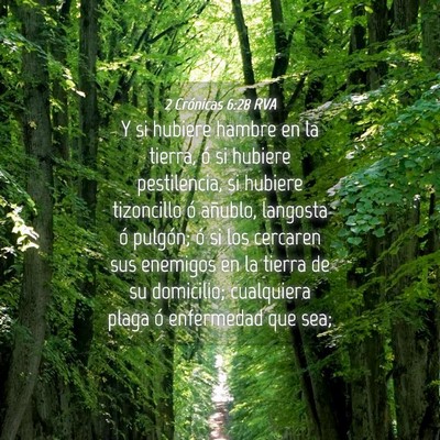 Picture 04 - 2 Crónicas 6:28 RVA - Y si hubiere hambre en la tierra, ó si hubiere - Bible Verse Picture