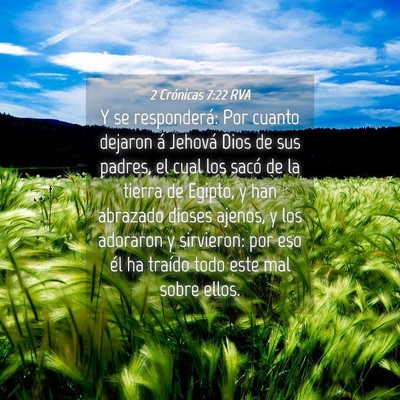 Picture 04 - 2 Crónicas 7:22 RVA - Y se responderá: Por cuanto dejaron á Jehová - Bible Verse Picture