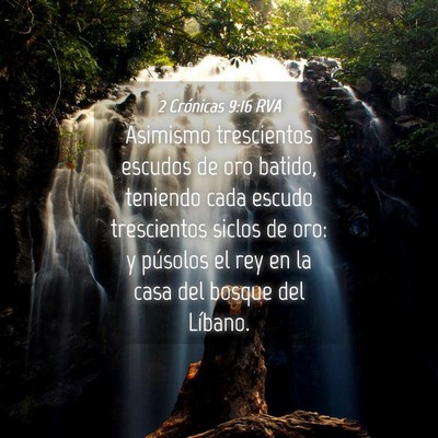 Picture 04 - 2 Crónicas 9:16 RVA - Asimismo trescientos escudos de oro batido, - Bible Verse Picture