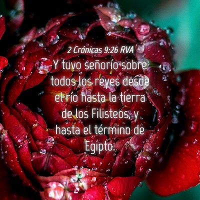 Picture 04 - 2 Crónicas 9:26 RVA - Y tuvo señorío sobre todos los reyes desde el - Bible Verse Picture