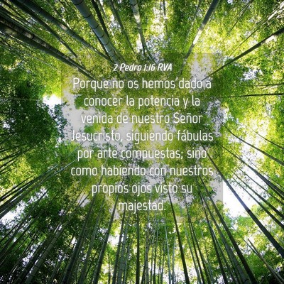 Picture 04 - 2 Pedro 1:16 RVA - Porque no os hemos dado á conocer la potencia y - Bible Verse Picture