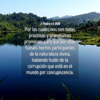 Picture 04 - 2 Pedro 1:4 RVA - Por las cuales nos son dadas preciosas y - Bible Verse Picture