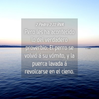 Picture 04 - 2 Pedro 2:22 RVA - Pero les ha acontecido lo del verdadero - Bible Verse Picture