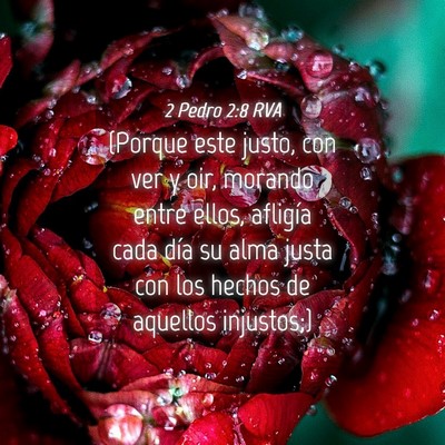 Picture 04 - 2 Pedro 2:8 RVA - (Porque este justo, con ver y oir, morando entre - Bible Verse Picture