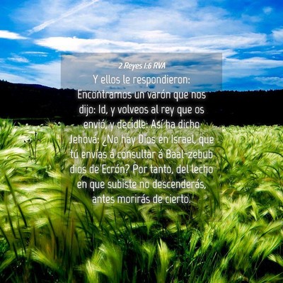Picture 04 - 2 Reyes 1:6 RVA - Y ellos le respondieron: Encontramos un varón - Bible Verse Picture