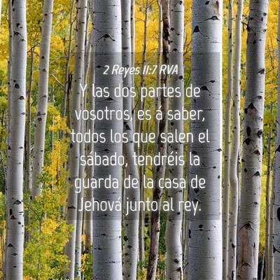 Picture 04 - 2 Reyes 11:7 RVA - Y las dos partes de vosotros, es á saber, todos - Bible Verse Picture