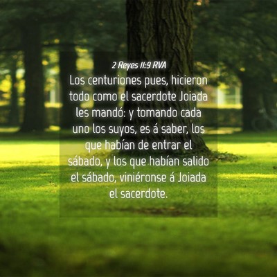 Picture 04 - 2 Reyes 11:9 RVA - Los centuriones pues, hicieron todo como el - Bible Verse Picture
