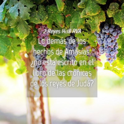 Picture 04 - 2 Reyes 14:18 RVA - Lo demás de los hechos de Amasías, ¿no está - Bible Verse Picture