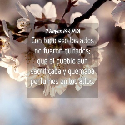 Picture 04 - 2 Reyes 14:4 RVA - Con todo eso los altos no fueron quitados; que el - Bible Verse Picture