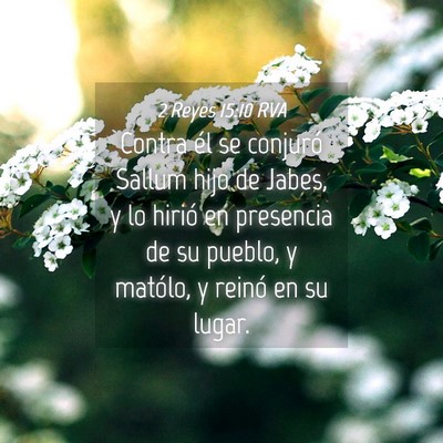 Picture 04 - 2 Reyes 15:10 RVA - Contra él se conjuró Sallum hijo de Jabes, y lo - Bible Verse Picture